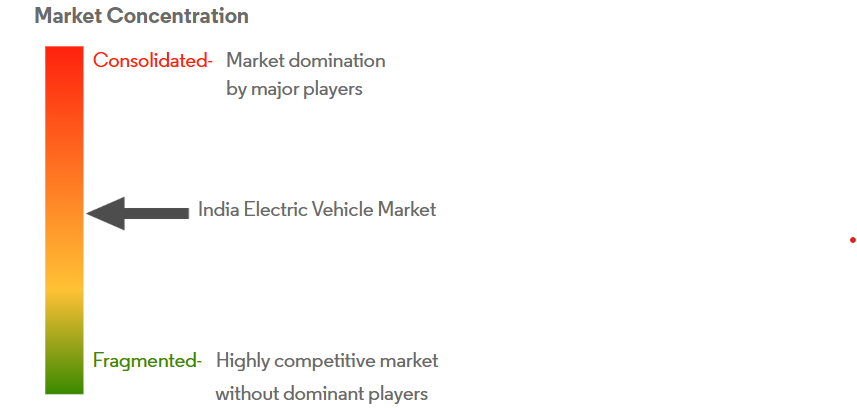 India Electric Vehicle Market Concentration